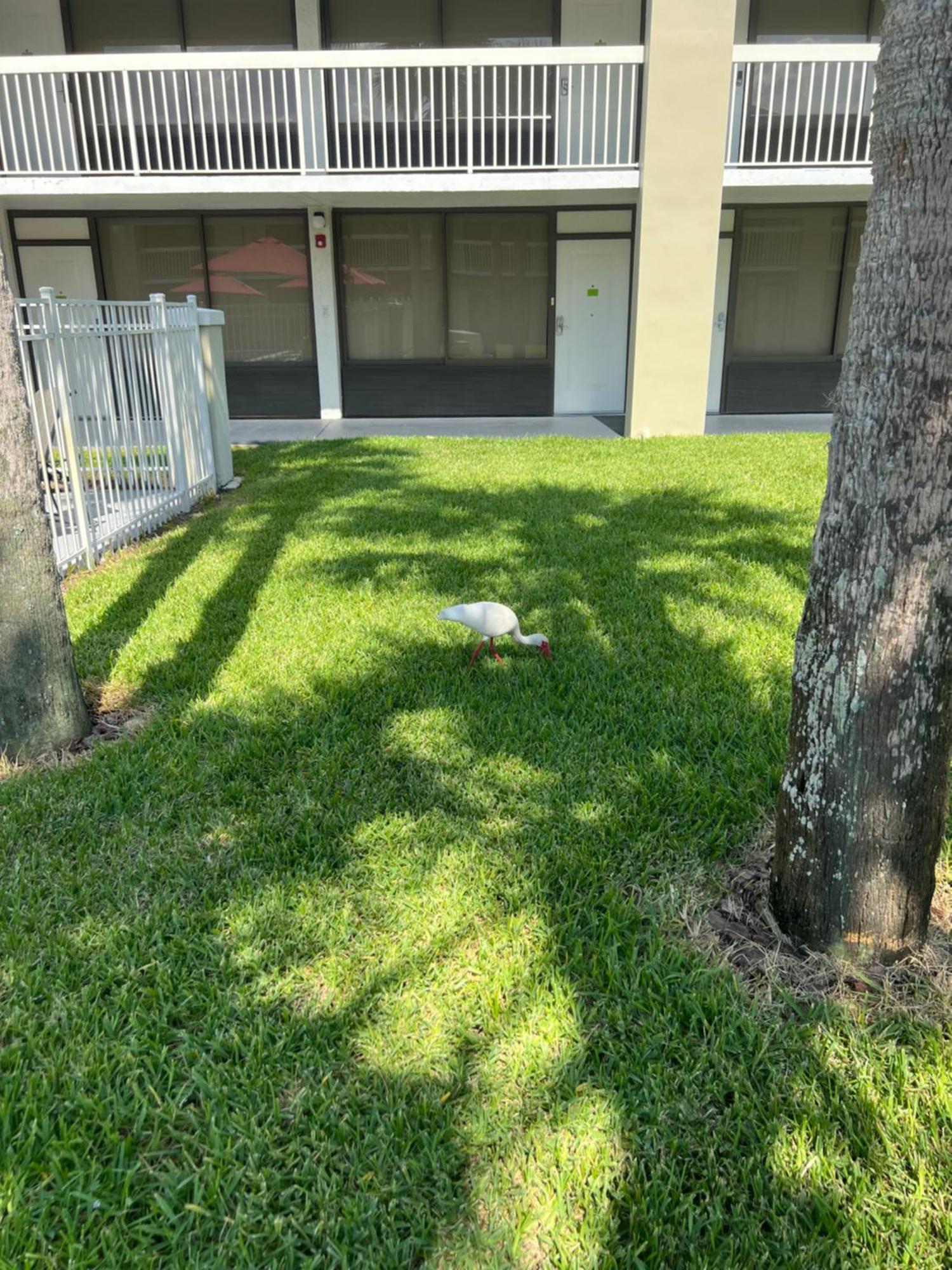 Hotel Room Near Disney 4 People Kissimmee Ngoại thất bức ảnh